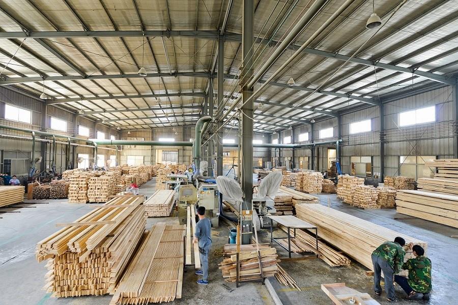 workshop with radiata pine